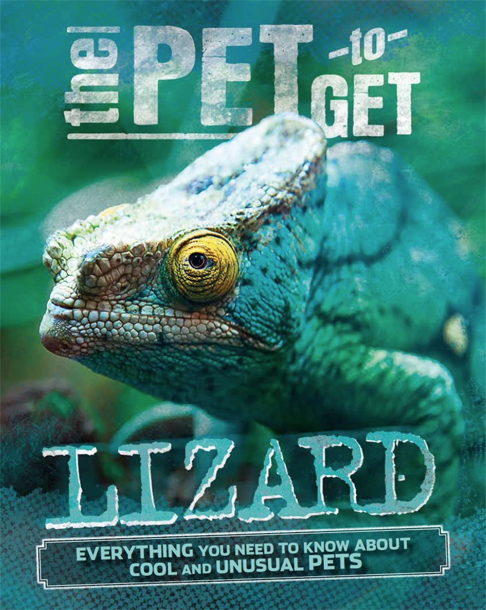 The Pet to Get Lizard by Rob Colson Hachette Childrens UK