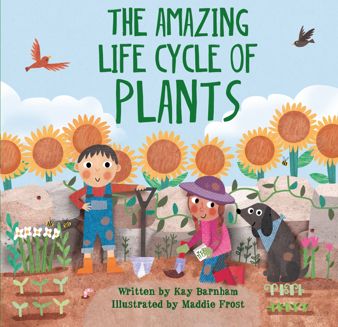 Look and Wonder The Amazing Plant Life Cycle Story by Kay Look and Wonder The Amazing Plant Life Cycle Story by Kay