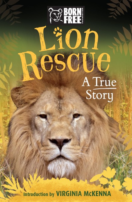 Born Free: Lion Rescue