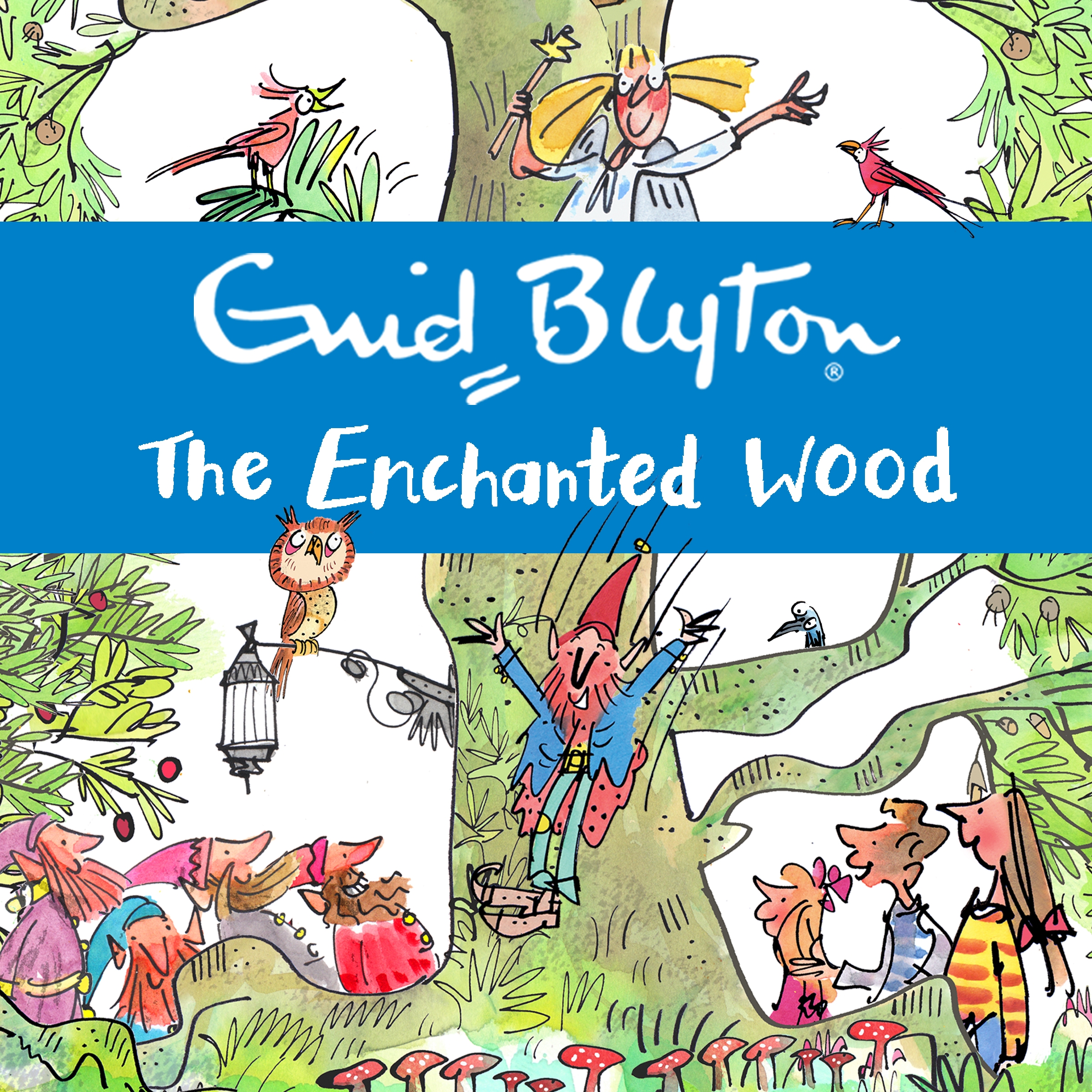 the enchanted wood faraway tree the enchanted wood faraway tree