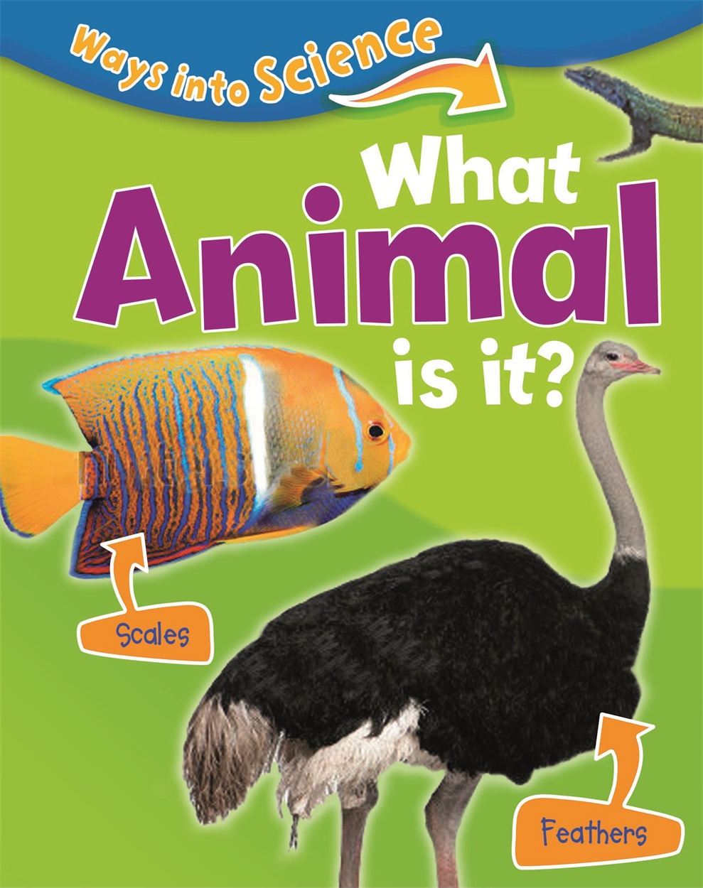 Ways Into Science What Animal Is It By Peter Riley Hachette 