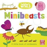 Toddler's World: Minibeasts