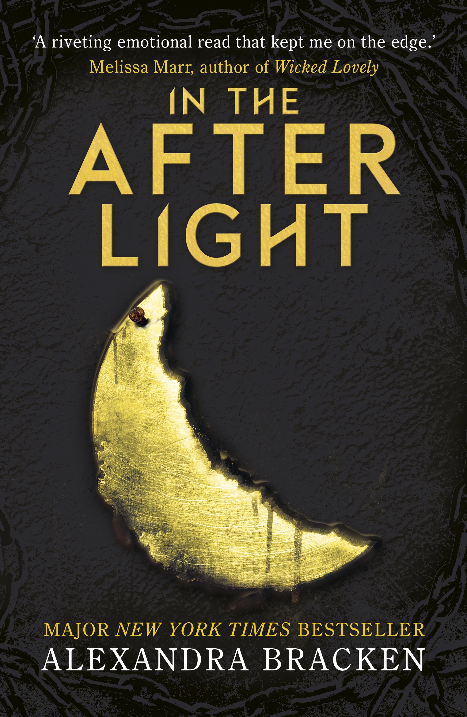 darkest minds book 2 darkest minds book 2
