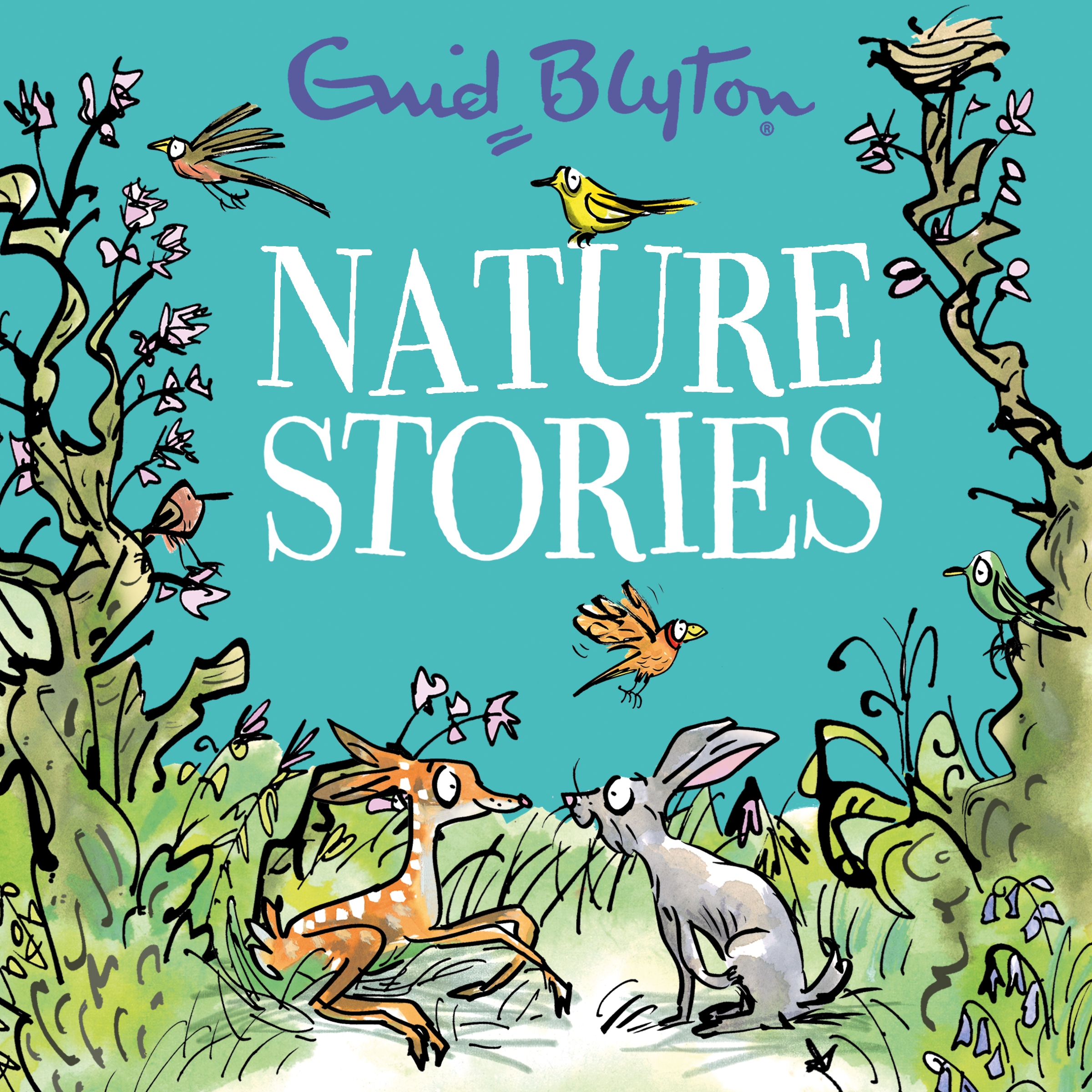 Nature Stories By Enid Blyton Hachette Childrens Uk