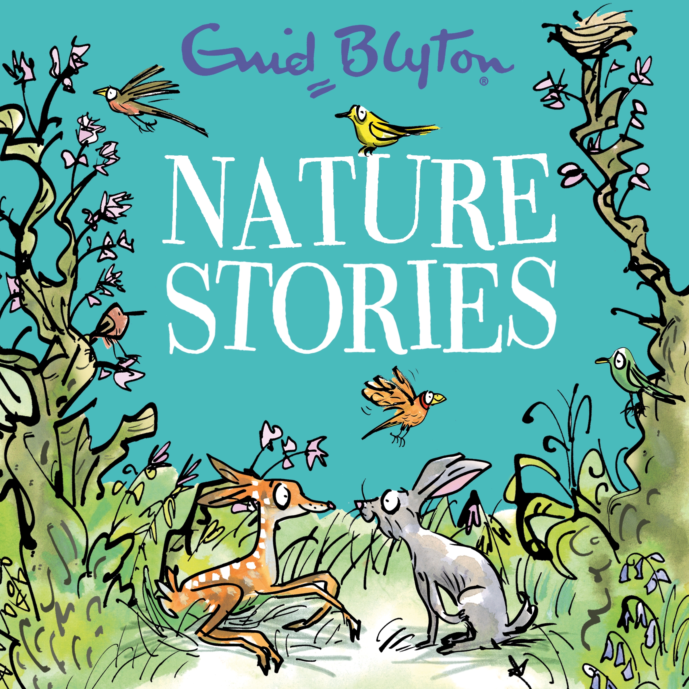 Nature Stories by Enid Blyton Hachette Childrens UK