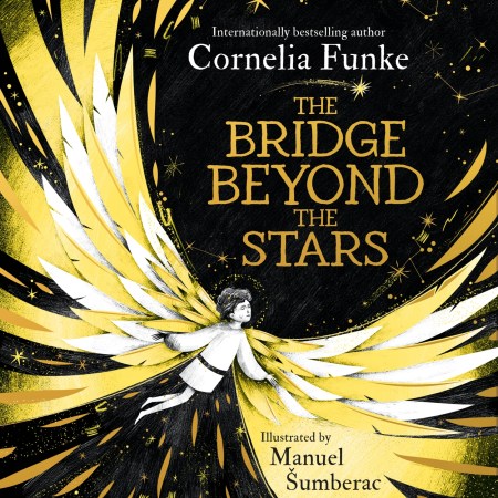 The Bridge Beyond the Stars