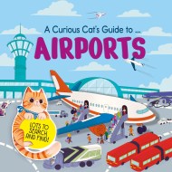 A Curious Cat’s Guide to: Airports