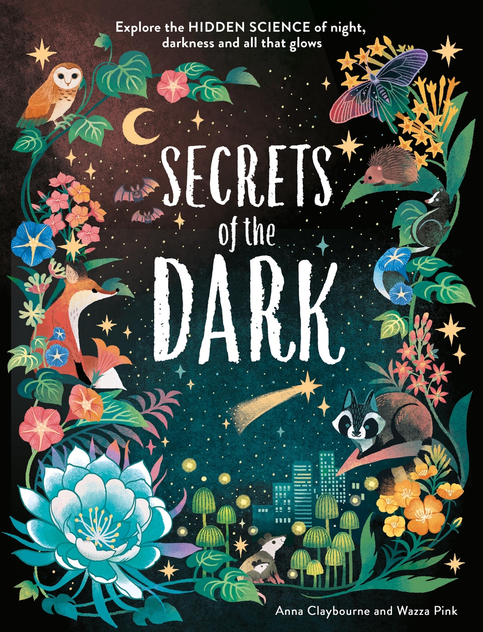 Front cover of Hidden Science: Secrets of the Dark by Anna Claybourne, illustrated by Pink Wazza